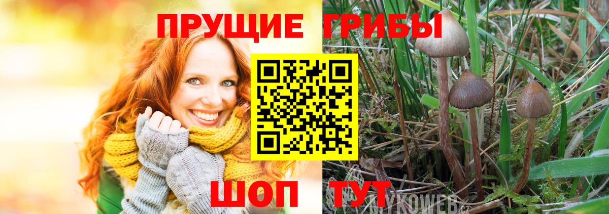 Галлюциногенные грибы мицелий  Галлюциногенные грибы GOLDEN TEACHER  Урай  Вход с VPN 